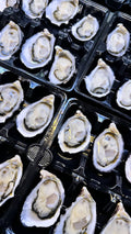 Australian Pacific Oysters