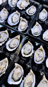 Australian Pacific Oysters