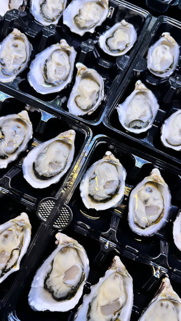Australian Pacific Oysters