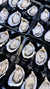 Australian Pacific Oysters