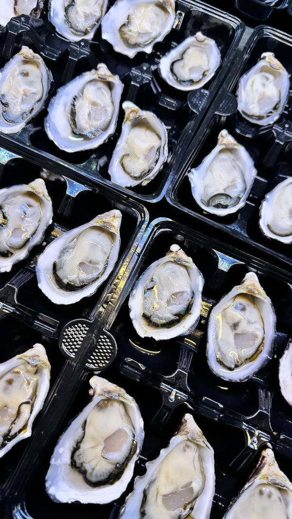 Australian Pacific Oysters