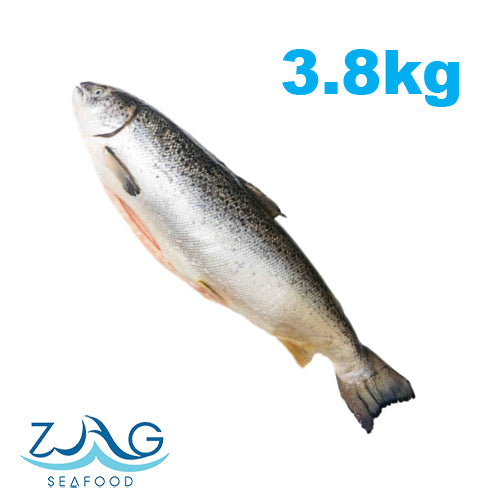 Australian Tasmanian Salmon (Whole) by Huon