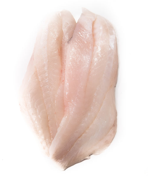 Australian Fresh Ocean Perch (Fillet) | ZAG Seafood