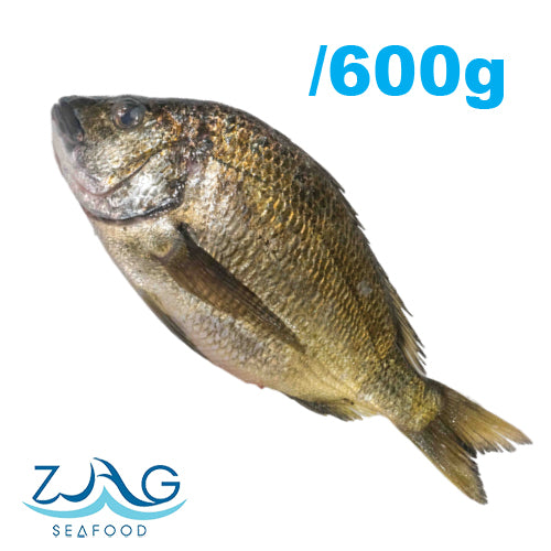 Australian Silver Bream (Whole) | ZAG Seafood